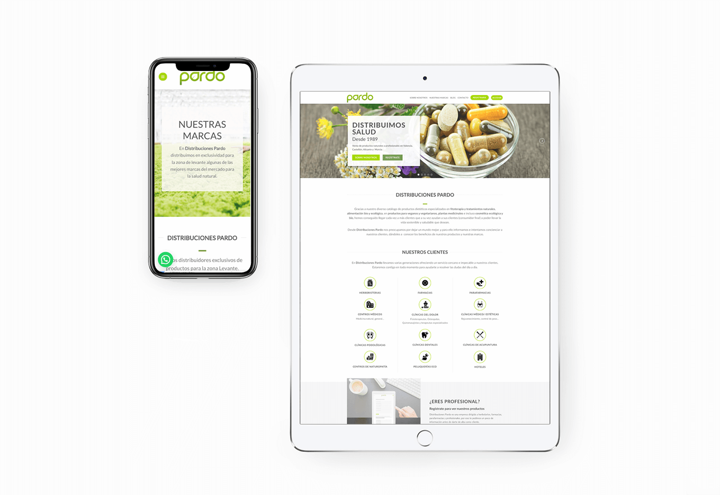Portfolio Diseño Web Distribuciones Pardo