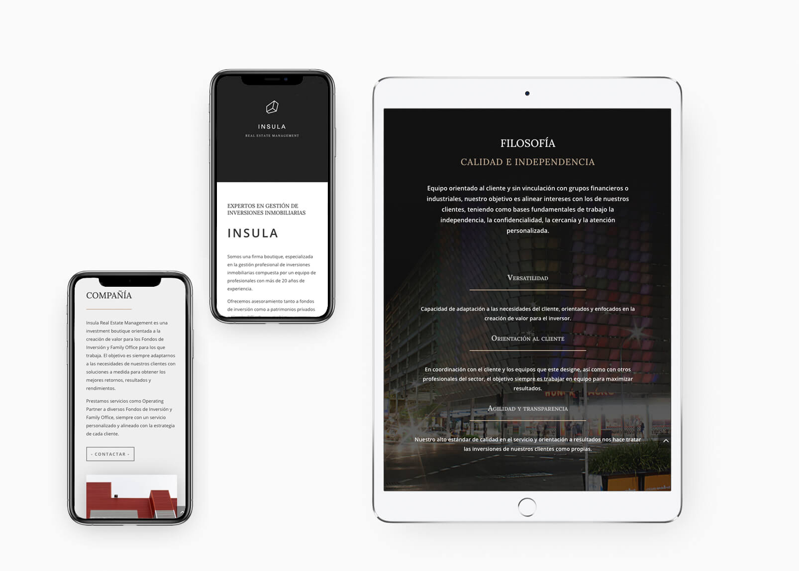 Diseño web Insula REM